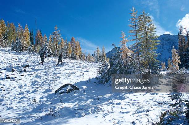 two people hiking in the northern cascade range - northern cascade range stockfoto's en -beelden