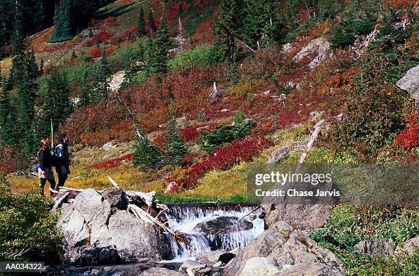 two people hiking in the northern cascade range - cascade range imagens e fotografias de stock