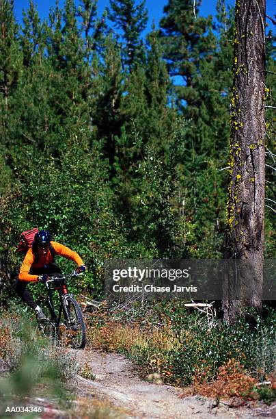 mountain biking - lake chelan stock-fotos und bilder