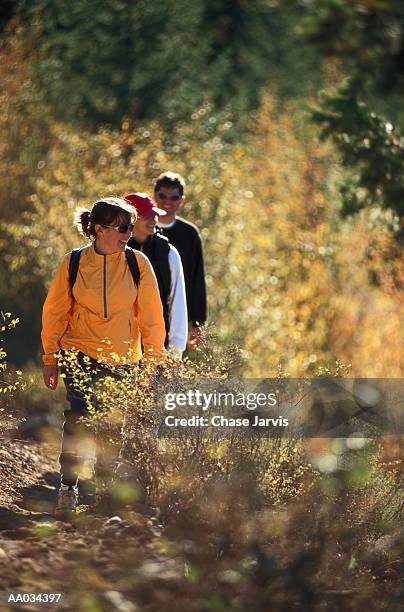 hikers, cascade range, washington - cascade range imagens e fotografias de stock