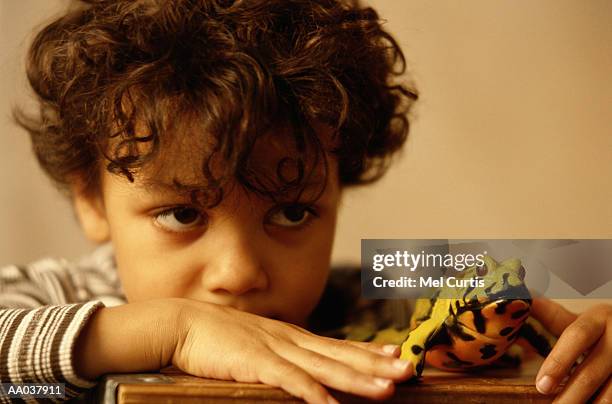 boy with a frog - exotic pets stock pictures, royalty-free photos & images