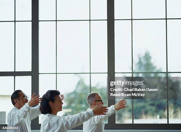 mature adults doing tai chi - tai stock pictures, royalty-free photos & images