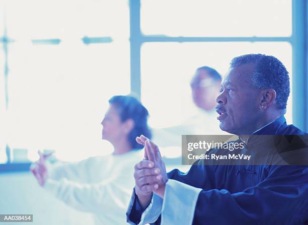 mature adults doing tai chi - tai stock pictures, royalty-free photos & images