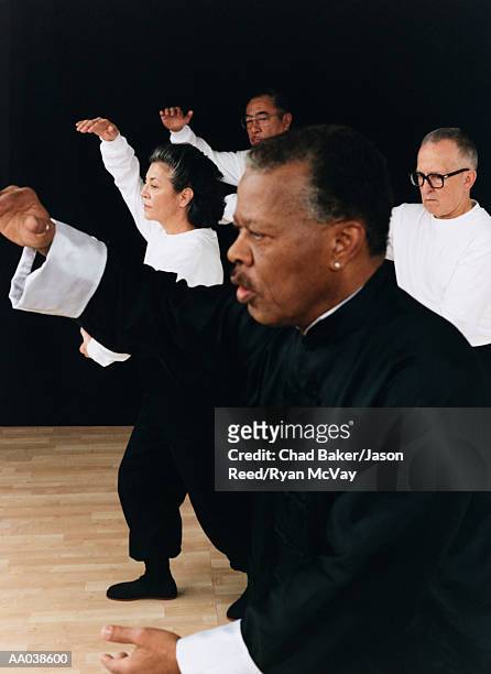 tai chi - tai stock pictures, royalty-free photos & images