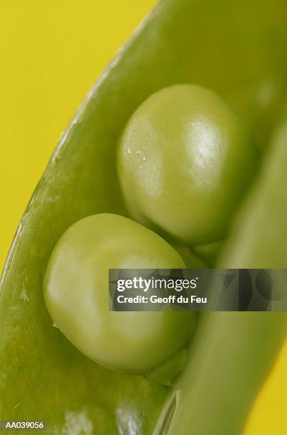 two peas in pod, close-up - 2 peas in a pod stock pictures, royalty-free photos & images