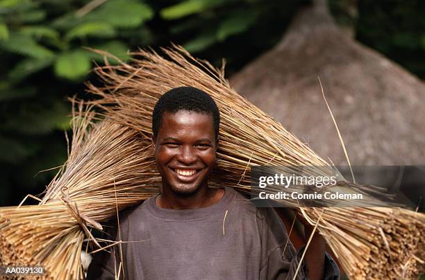 young man carrying bundles of straw, smiling, portrait - elfenbenskusten bildbanksfoton och bilder