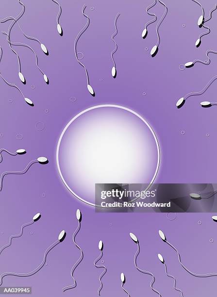 stockillustraties, clipart, cartoons en iconen met human fertility - sterk-uitvergroot