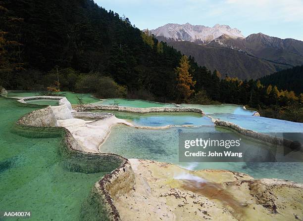 calcium ponds - 炭酸石灰 ストックフォトと画像