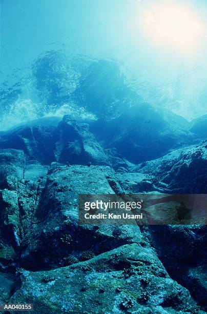 sunlight shining through sea water, underwater view - okinawa islands stock pictures, royalty-free photos & images