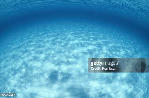 ocean floor, full frame (fisheye) - okinawa islands stock pictures, royalty-free photos & images