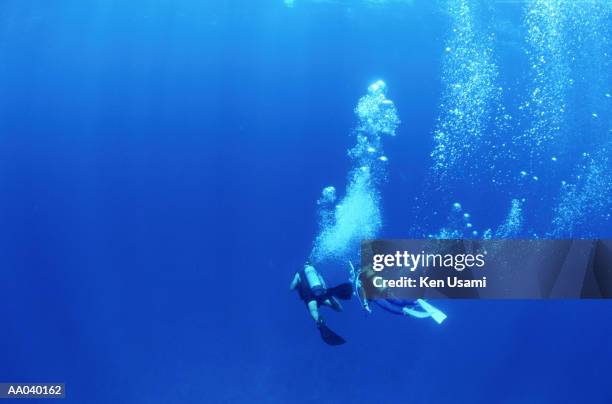 two scuba divers underwater, rear view - okinawa islands stock pictures, royalty-free photos & images