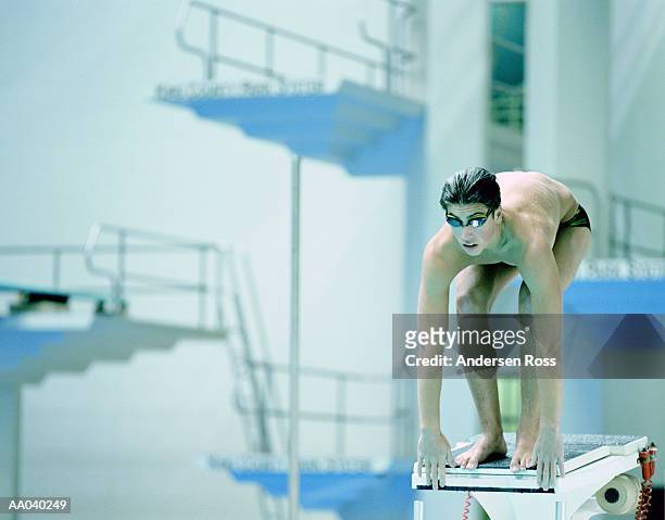 teenage boy (16-18) preparing to dive off board (cross-processed) - speedo boy stock pictures, royalty-free photos & images
