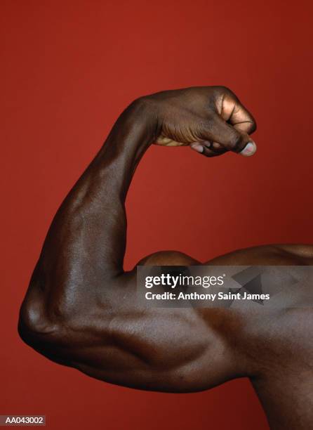 man flexing muscles - flexionar los músculos fotografías e imágenes de stock