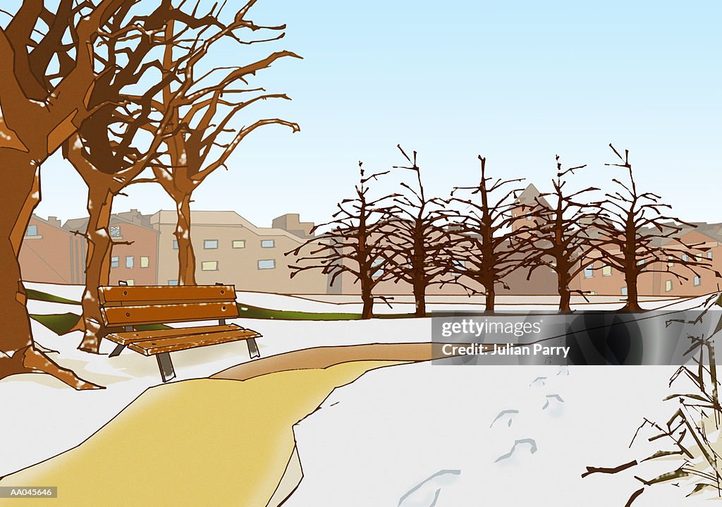 Park with bench in winter