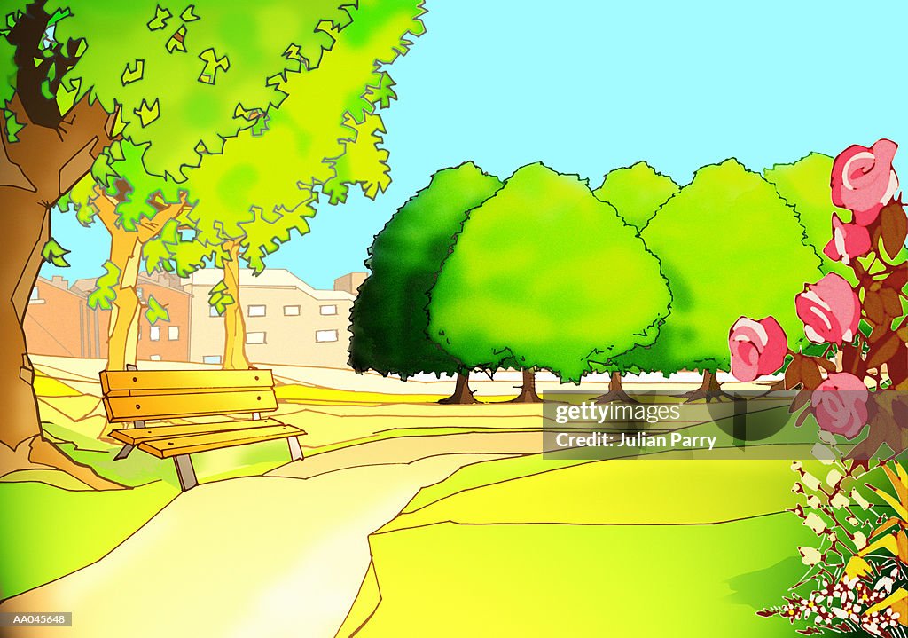 Park with bench in summer
