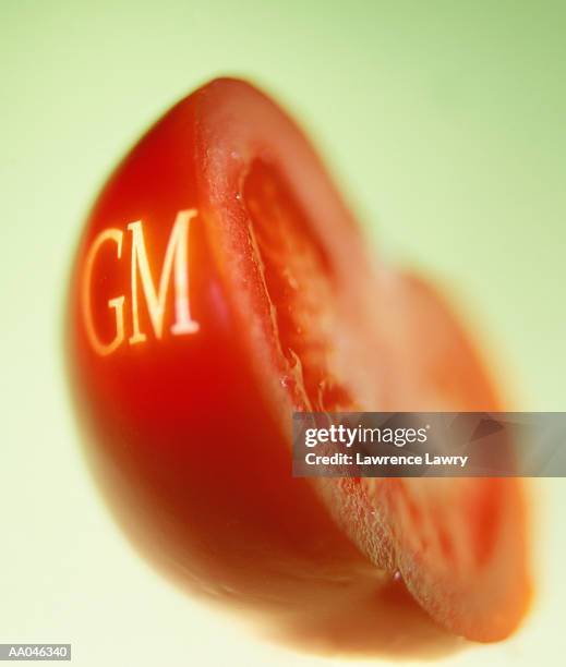 genetically modified tomato - genetically modified food stock pictures, royalty-free photos & images
