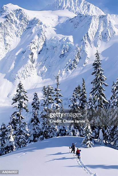 two skiers hiking in deep snow, rear view, elevated view - northern cascade range stockfoto's en -beelden