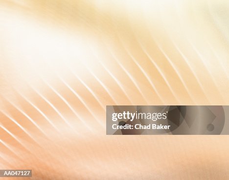 Beige Ripples Full Frame High-Res Vector Graphic - Getty Images