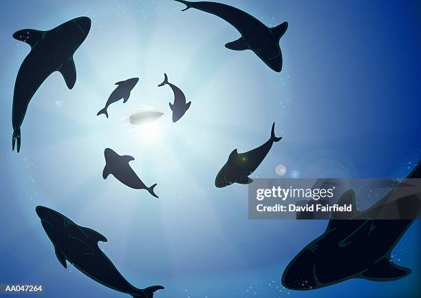 bildbanksillustrationer, clip art samt tecknat material och ikoner med sharks circling boat, underwater view - looking up