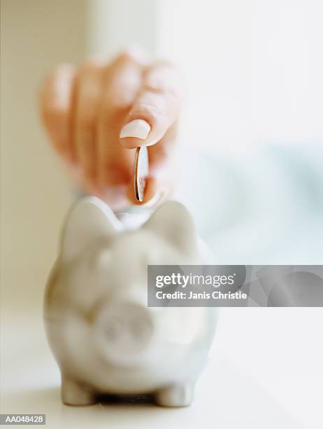 woman putting us quarter  coin in piggy bank - saving up for a rainy day stock pictures, royalty-free photos & images