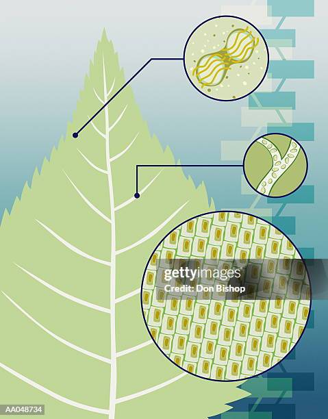 stockillustraties, clipart, cartoons en iconen met plant engineering - sterk-uitvergroot