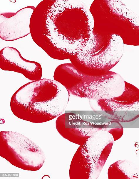 ilustrações, clipart, desenhos animados e ícones de human blood cells, close-up - alta magnificação