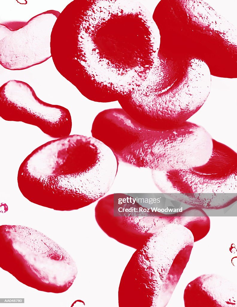 Human blood cells, close-up