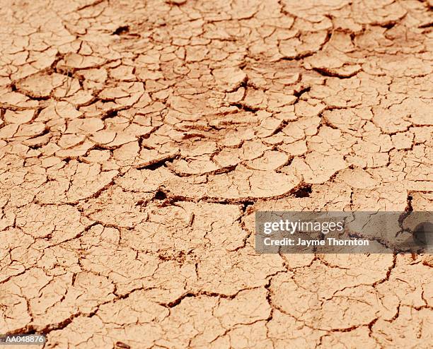 dry cracked mud in creek bed - mud imagens e fotografias de stock