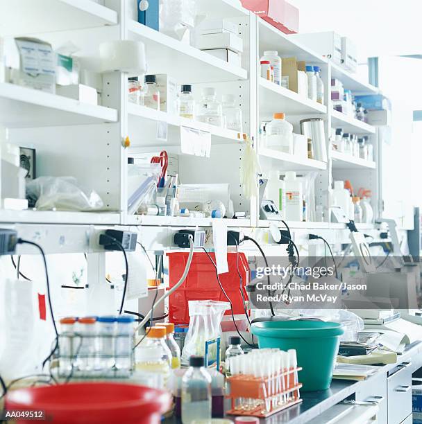 Laboratory Mess Photos and Premium High Res Pictures - Getty Images