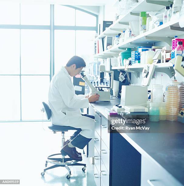 A Science Lab Side View 1,986 Microscope Side View Stock Photos, High-Res Pictures, and Images ...