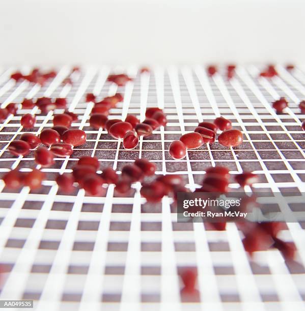 dried beans on graph - alimento genéticamente modificado fotografías e imágenes de stock