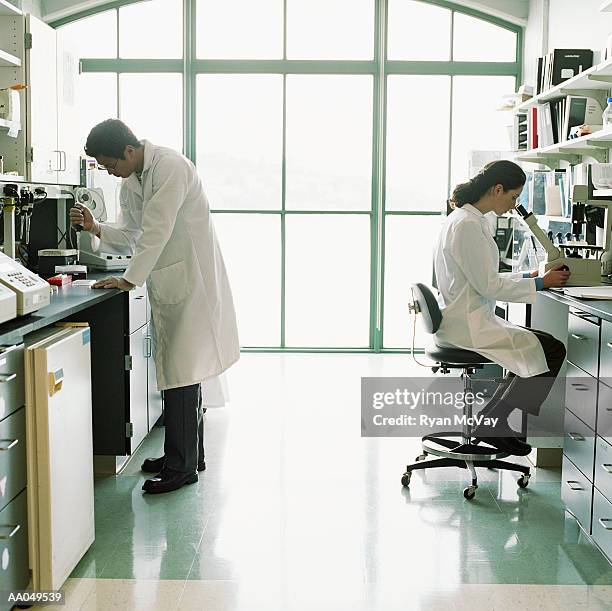 A Science Lab Side View 465 Scientist Side View Full Body Stock Photos, High-Res Pictures, and ...