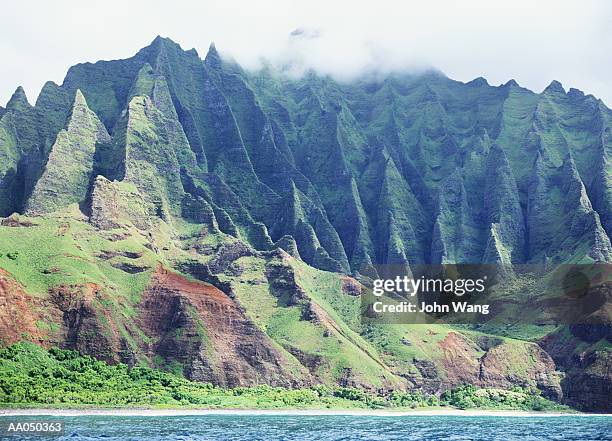Hawaii Rocks 1,660 Spikey Rocks Stock Photos, High-Res Pictures, and Images - Getty ...