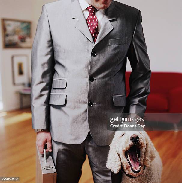 businessman with briefcase petting yawning poodle - donna matura - fotografias e filmes do acervo