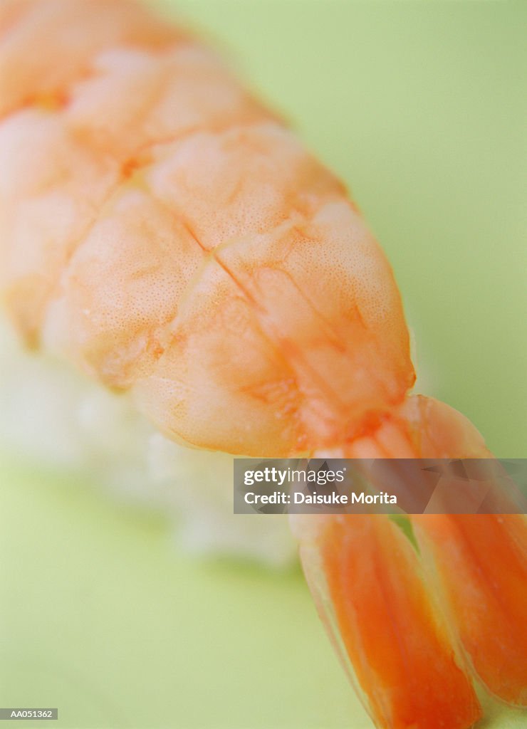 Amaebi sushi, close up, elevated view
