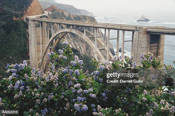 usa, california, bixby bridge crossing over big sur coastline - ビクスビークリーク ストックフォトと画像