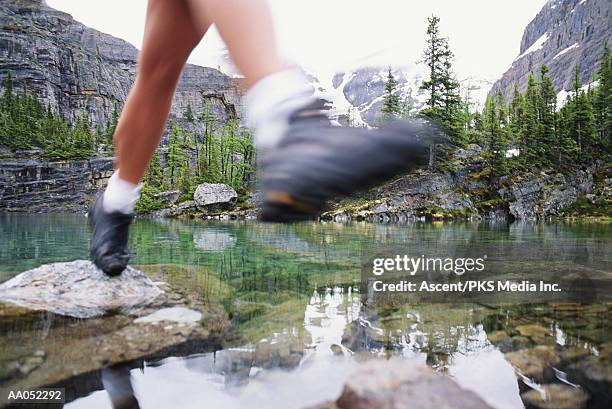 Stepping Over Rocks 53 Feet On Stepping Stones Stock Photos, High-Res Pictures, and Images ...
