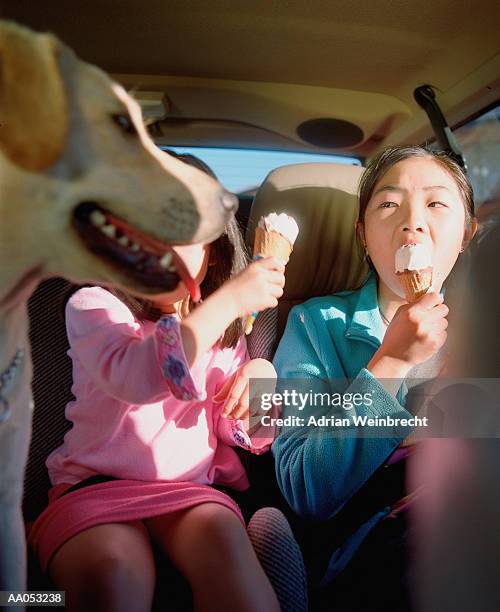 dog watching girls (5-7) eat ice cream cones in car (selective focus) - girl eating messy ice cream cone stock pictures, royalty-free photos & images