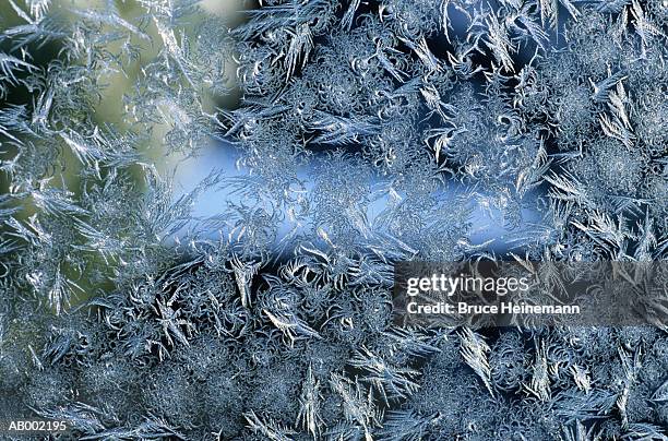 frost crystals - eisblume stock-fotos und bilder