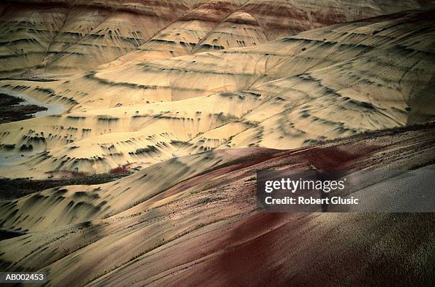 sandy hills - fossil site stock pictures, royalty-free photos & images