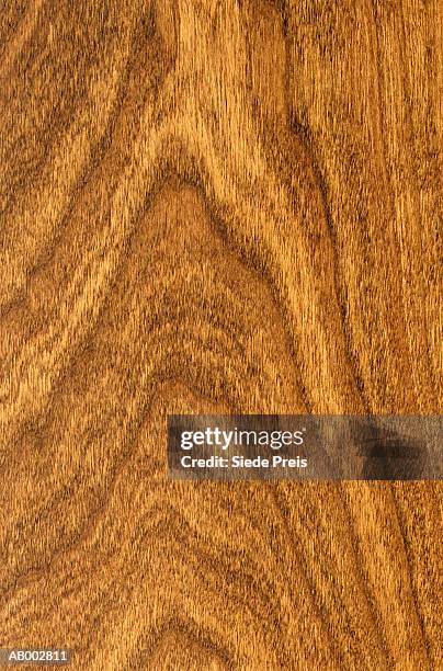 wood grain -- maple - wood grain 個照片及圖片檔