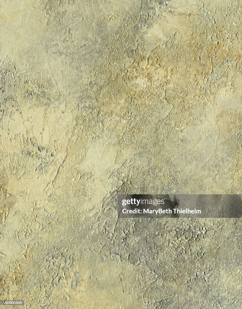 Tan Canvas with Plaster Texture