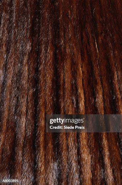 mink fur - mink fur stock pictures, royalty-free photos & images