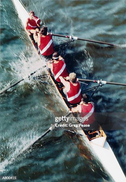 female coxswain leading rowing crew, elevated view - sweep rowing foto e immagini stock