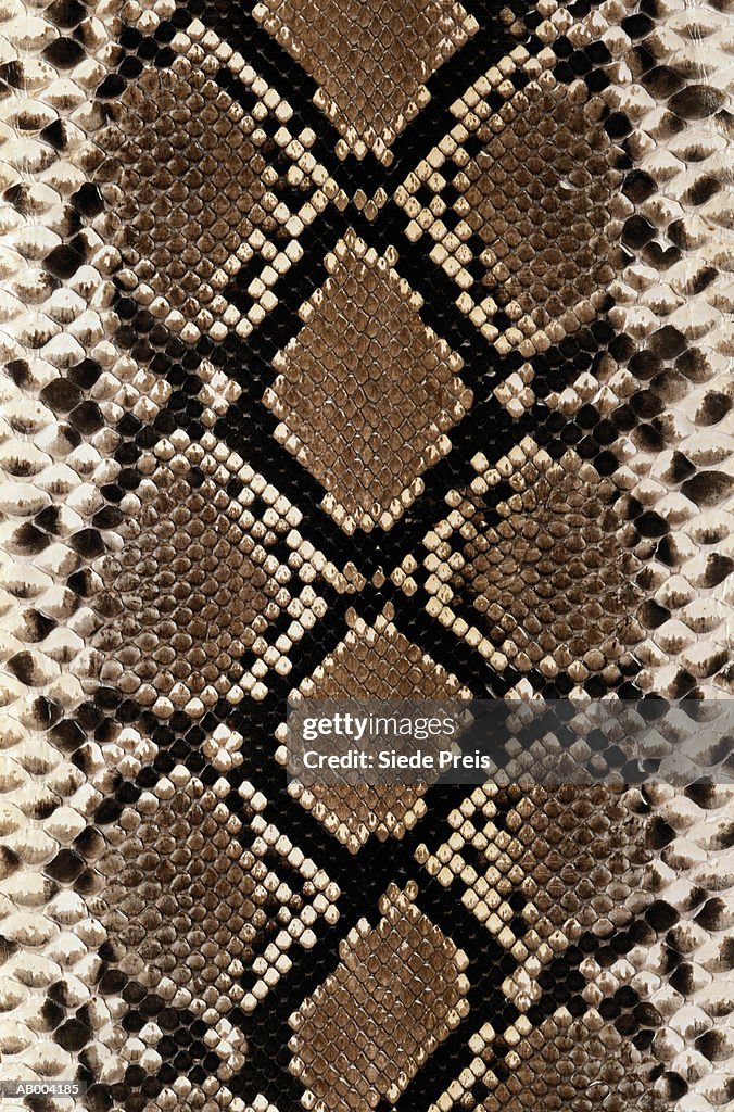 Snake Skin