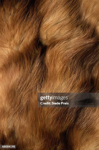 mink fur - mink fur stock pictures, royalty-free photos & images