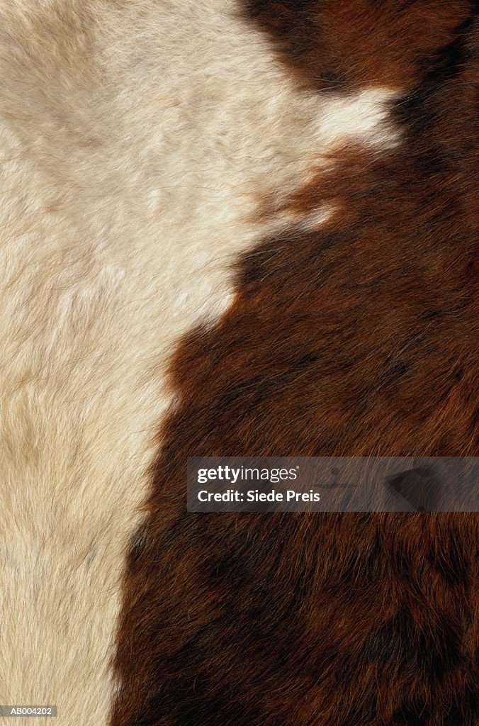 Cowhide