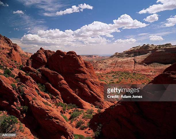 usa, arizona, paria canyon, sandstone formations - paria canyon stock pictures, royalty-free photos & images