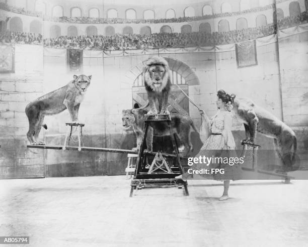 female lion tamer performing (b&w) - zirkuskünstler stock-fotos und bilder