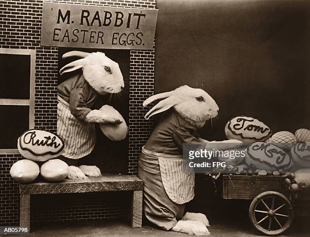 two rabbits loading easter eggs onto cart (toned b&w) - archive 2005 foto e immagini stock